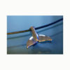 Whale Tail Charm - Image 3