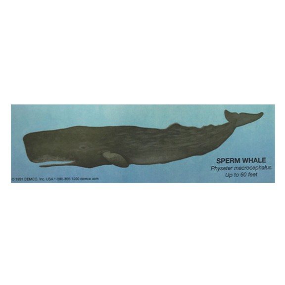 Sperm Whale Bookmark