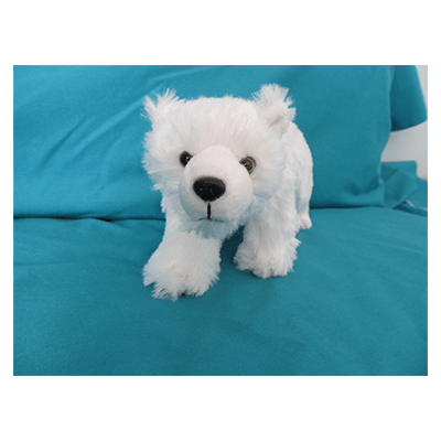 Polar Bear